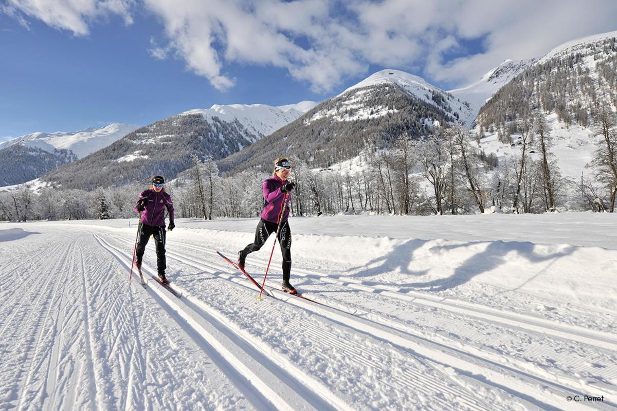 Appartmenthaus Bergfreund Fiesch Eksteriør bilde