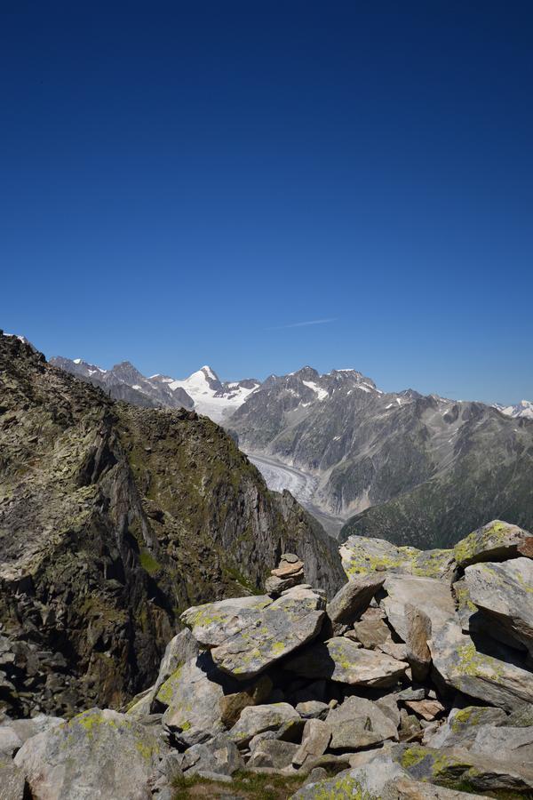 Appartmenthaus Bergfreund Fiesch Eksteriør bilde