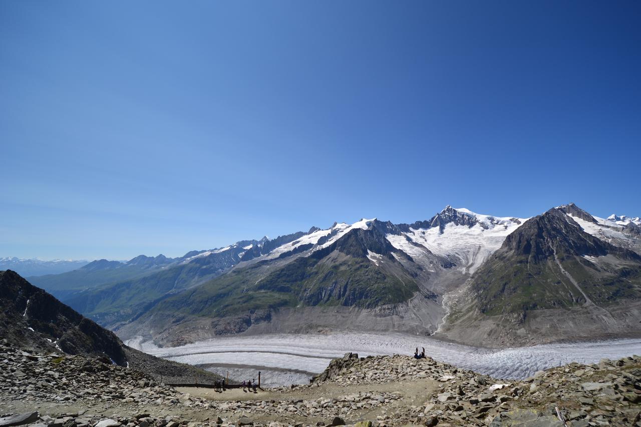 Appartmenthaus Bergfreund Fiesch Eksteriør bilde