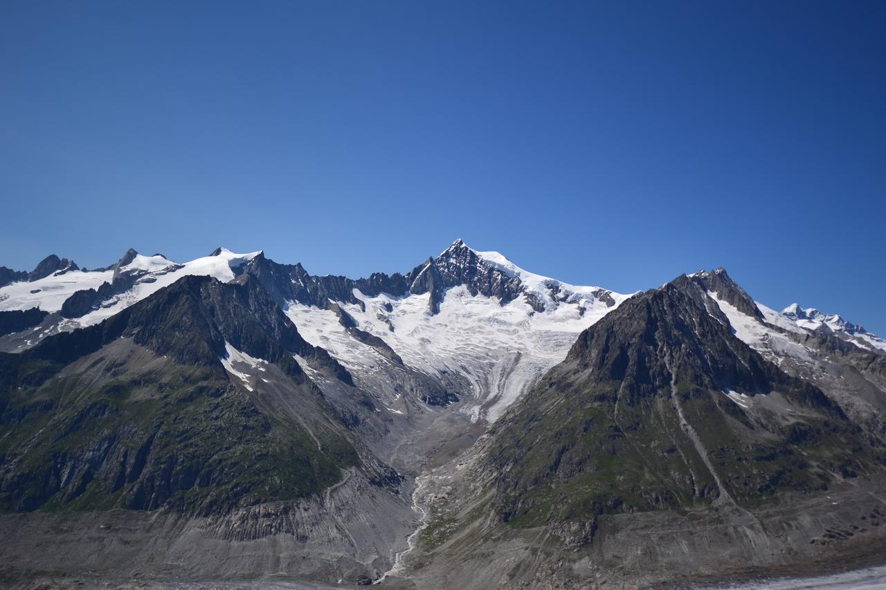 Appartmenthaus Bergfreund Fiesch Eksteriør bilde